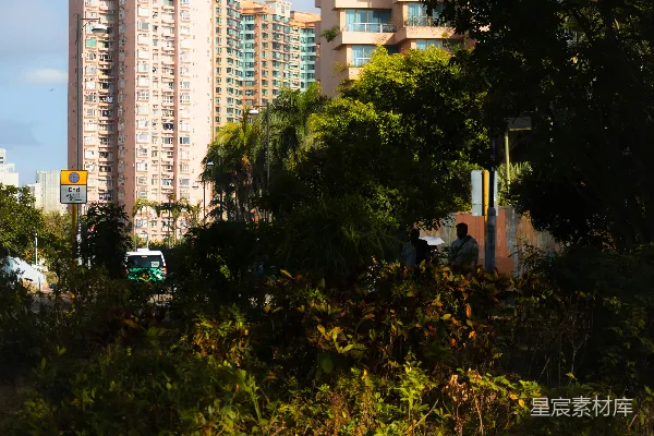 高清摄影 绿色的树木和围栏后面，有几栋粉红色的高层公寓楼。