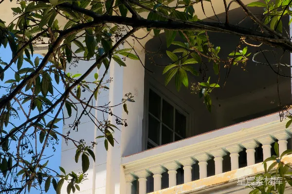 高清摄影 白色建筑外墙，带有阳台和绿色树叶。