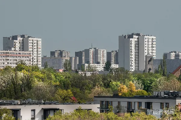 高清摄影 一座有高大建筑和前景中的树木的城市
