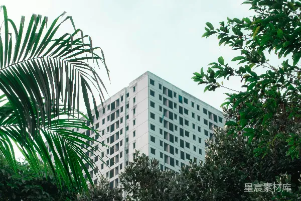 高清摄影 高楼透过郁郁葱葱的树木若隐若现