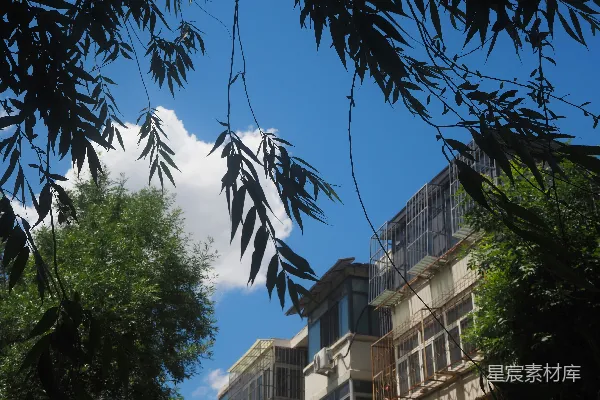 高清摄影 蓝天上有一朵白云，绿树成荫，还有建筑物。