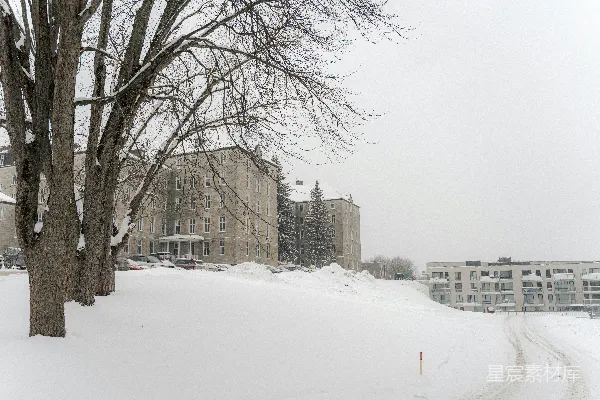 高清摄影 白雪覆盖的景观，有树木和建筑物