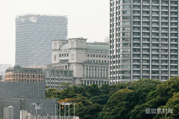 高清摄影 现代化的建筑矗立在郁郁葱葱的绿树之上。