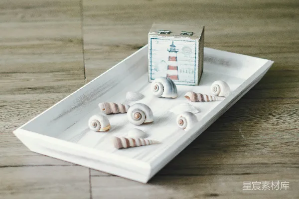 高清摄影 一个装有贝壳和一张卡片的白色托盘