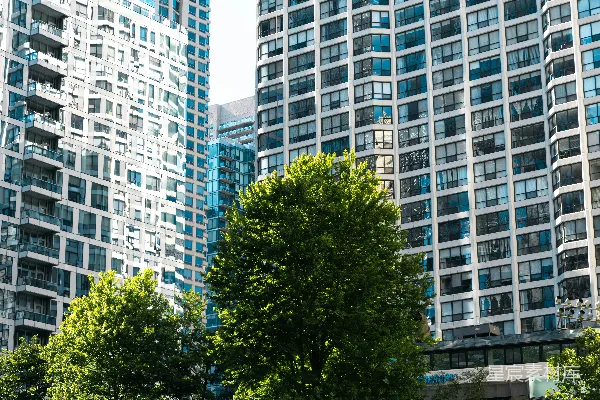 高清摄影 高楼大厦中绿树成荫的城市景象。