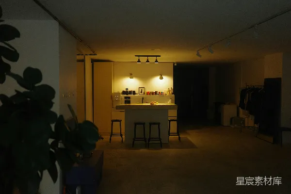 高清摄影 现代酒吧区域，配有吧台凳子和植物。