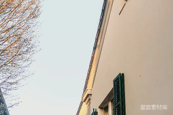 高清摄影 一座有绿色百叶窗的建筑旁有一棵光秃秃的树。