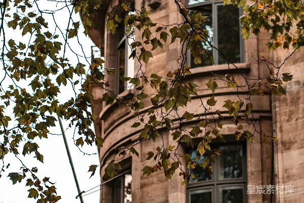 高清摄影 华丽的建筑立面，前景是秋叶
