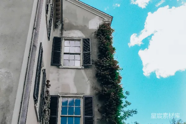 高清摄影 历史悠久的建筑在明亮的蓝天背景下，绿色的藤蔓垂挂在建筑上。