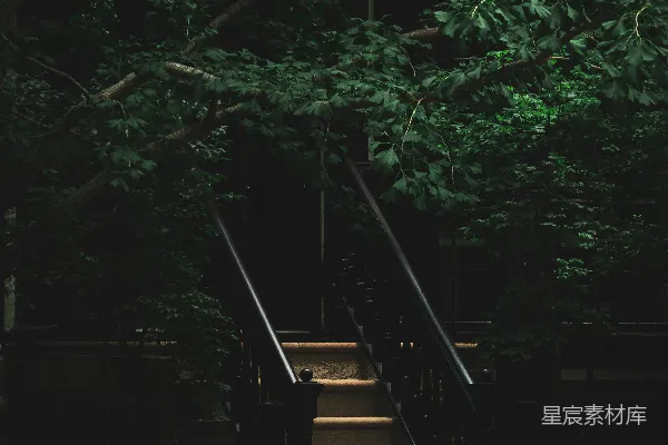 高清摄影 通往窗户的楼梯被树木环绕。