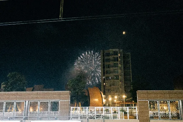 高清摄影 夜空中，建筑物上空绽放着烟花。