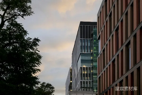 高清摄影 几栋高大的建筑并排矗立。