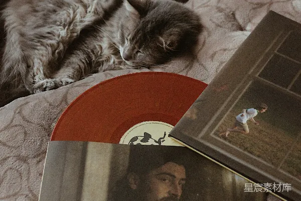 高清摄影 一只灰色的猫在有唱片的床上睡觉。