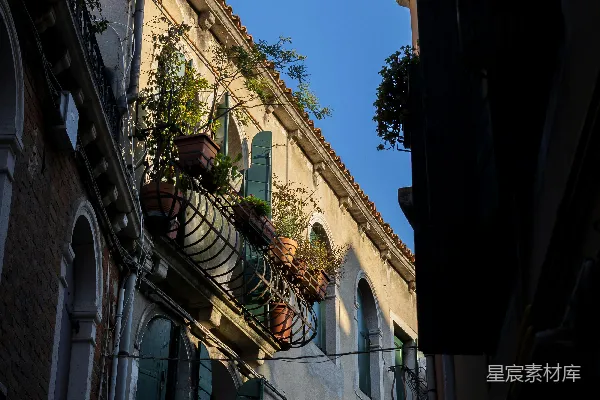 高清摄影 阳光照耀下的建筑外墙，带有盆栽植物和百叶窗。