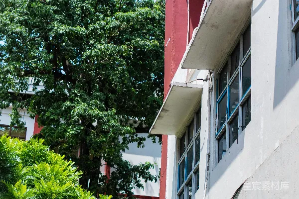高清摄影 建筑外观，茂密的绿树和窗户。