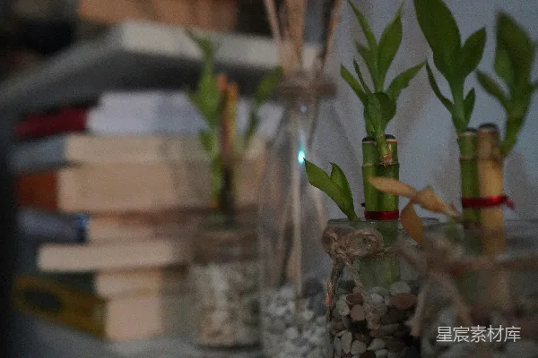高清摄影 几个装有棕色液体的玻璃瓶