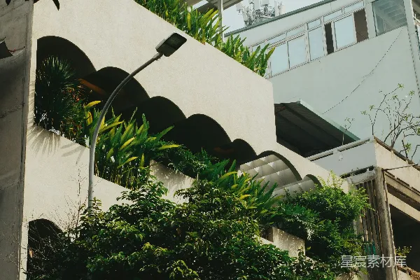 高清摄影 绿色植物垂挂在现代化建筑的外墙上。