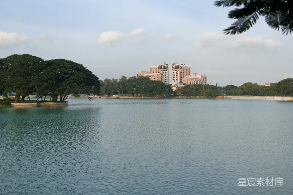 高清摄影 宁静的湖面，背景中有建筑物和树木。