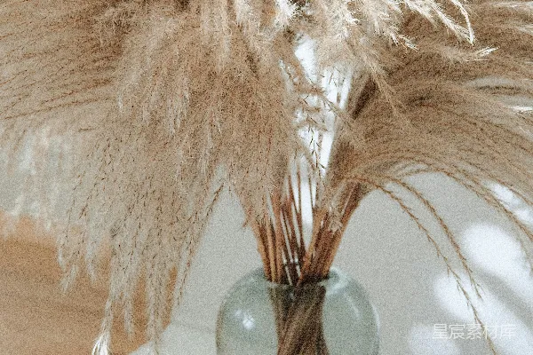 高清摄影 一个装满干草的花瓶放在桌子上。