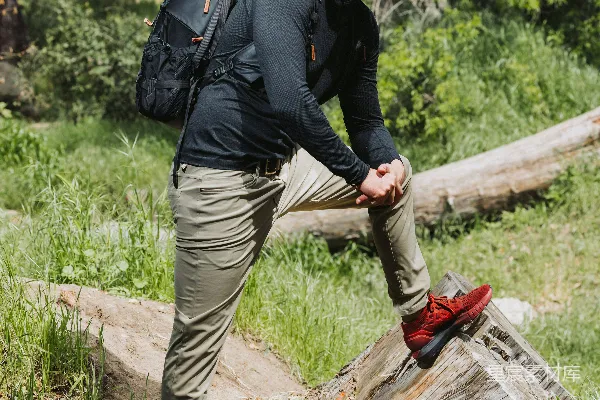高清摄影 一个男人站在树林中的原木上。