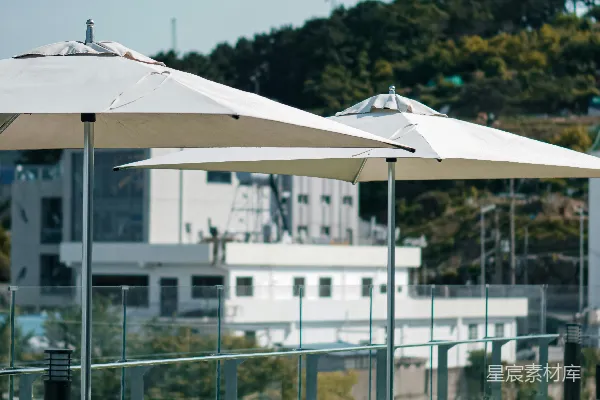 高清摄影 一排雨伞坐落在郁郁葱葱的绿色田野上