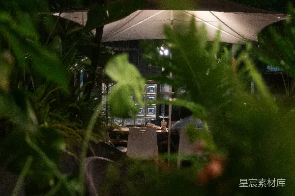 高清摄影 一张桌子，中间有一把白色的伞，位于一片森林中。