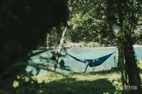高清摄影 在碧绿色的河边，两棵大树之间挂着一个秋千。