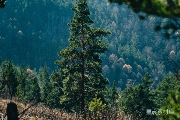 高清摄影 一个男人骑着山地自行车沿着被雪覆盖的斜坡滑行
