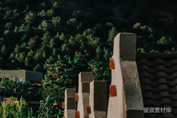 高清摄影 绿色的树木在白色混凝土围栏旁边