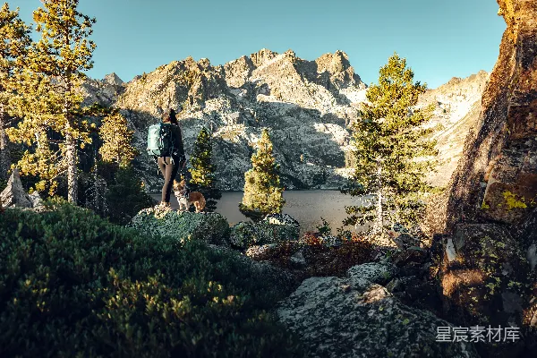 高清摄影 徒步旅行者和狗享受着美景中的山景。