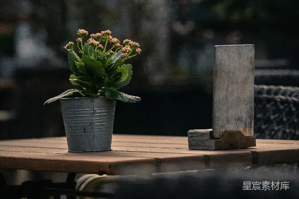 高清摄影 木桌上的盆栽和椅子