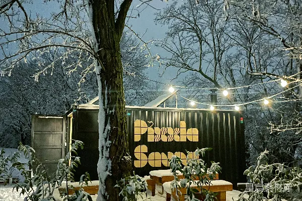 高清摄影 一棵树在雪地中央