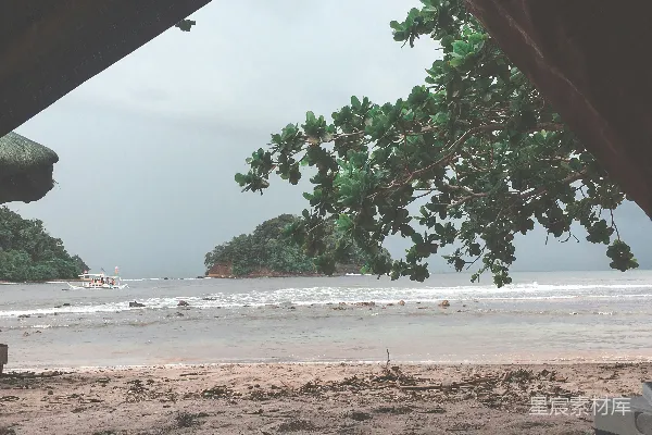 高清摄影 绿树在岸边