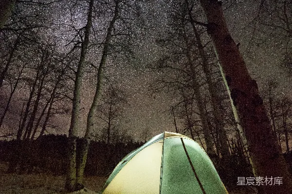 高清摄影 在夜晚，一个圆顶帐篷被光秃秃的树木包围着。