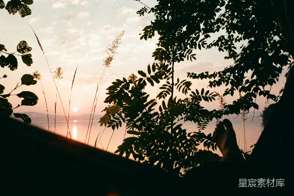 高清摄影 夕阳正在水面上落下