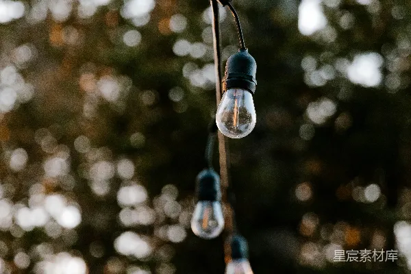 高清摄影 一簇挂在树上的灯泡