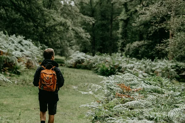 高清摄影 穿黑色和橙色背包的男人在白天的绿色草地上行走。