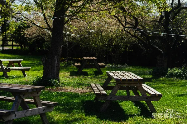 高清摄影 阳光明媚的草坪上摆放着木质野餐桌。