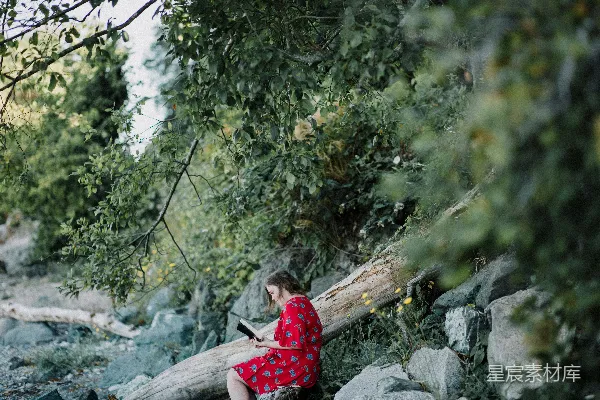 高清摄影 女人正在看书
