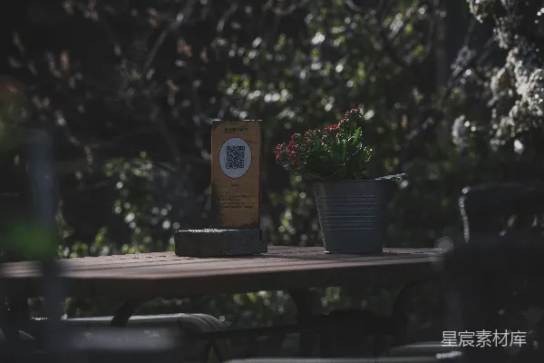 高清摄影 户外桌子配有盆栽植物和菜单。