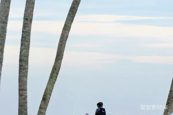 高清摄影 海滩上的人们，背景有棕榈树和海洋。