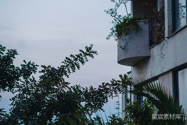 高清摄影 一座建筑上生长着植物的景象