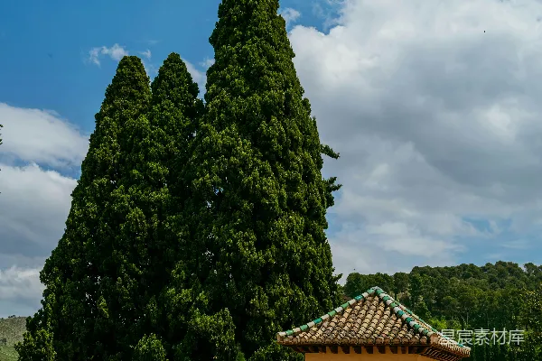 高清摄影 柏树高耸，矗立在一座迷人的花园凉亭和长椅旁。