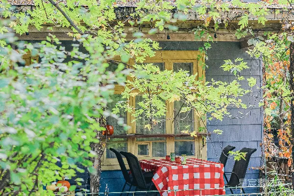 高清摄影 长满杂草的花园里摆设餐桌的露台