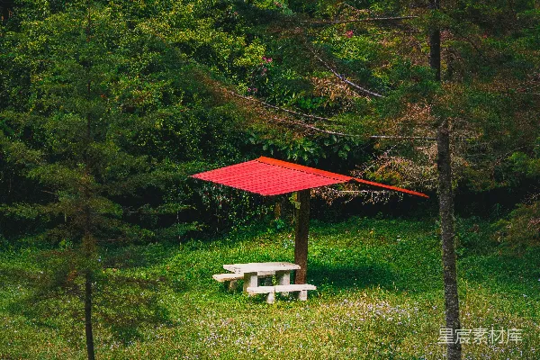 高清摄影 草地上有红色雨伞覆盖的野餐桌。