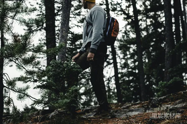 高清摄影 一个背着背包的男人站在树林中的小山上