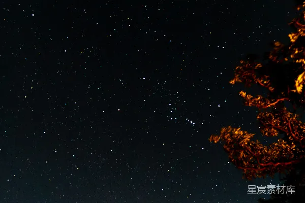 高清摄影 一个帐篷在星空下