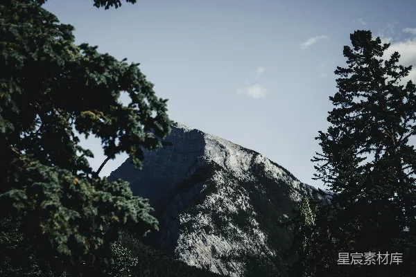 高清摄影 透过一些树木看到的山景