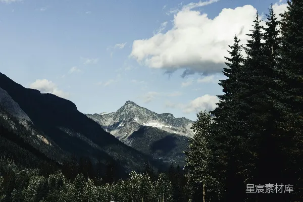 高清摄影 一幅森林景色，背景中可以看到山脉。