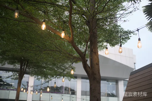 高清摄影 彩灯悬挂在一棵树上，靠近一幢建筑物。